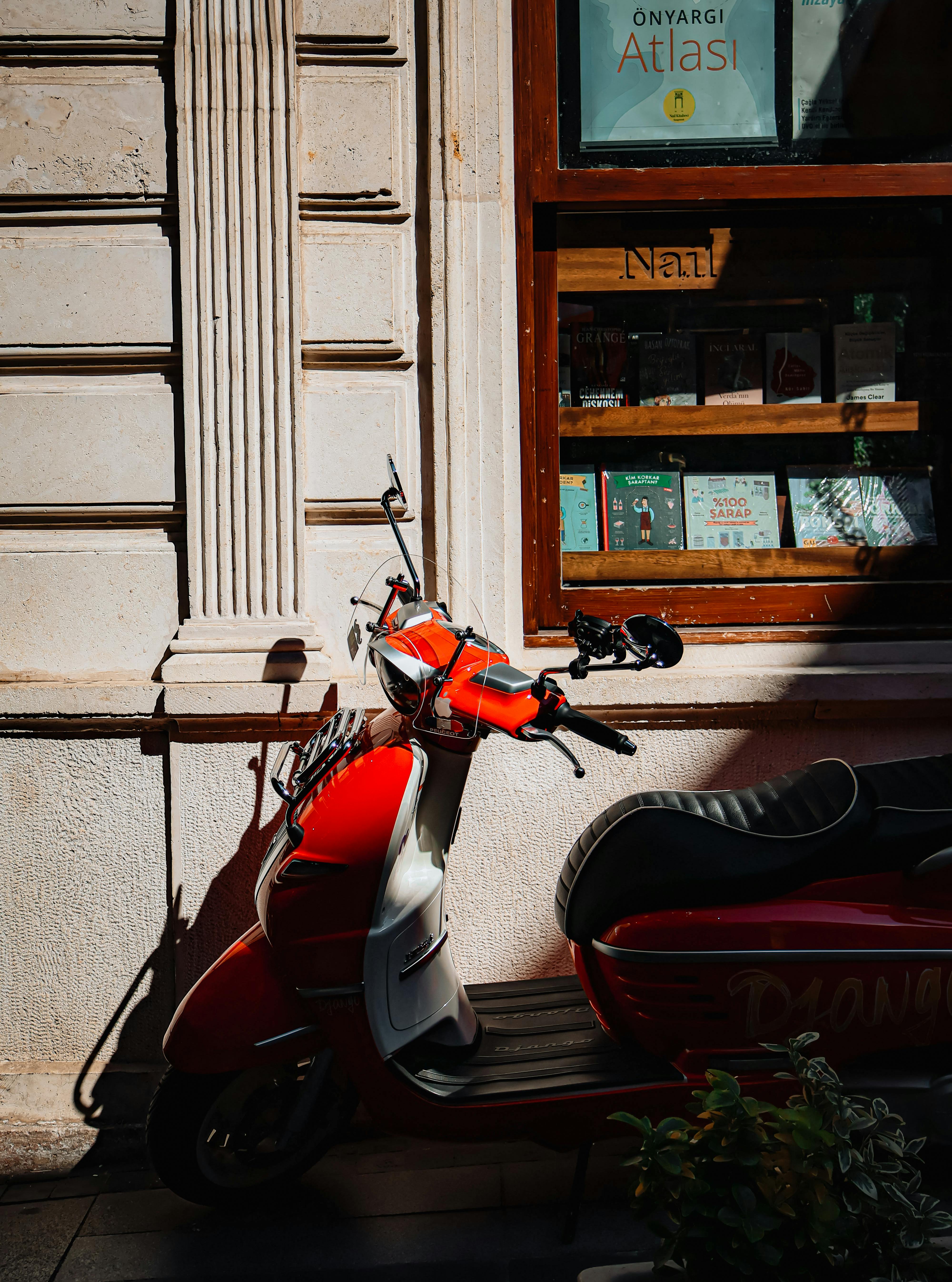 Topic Selection-Mentorship