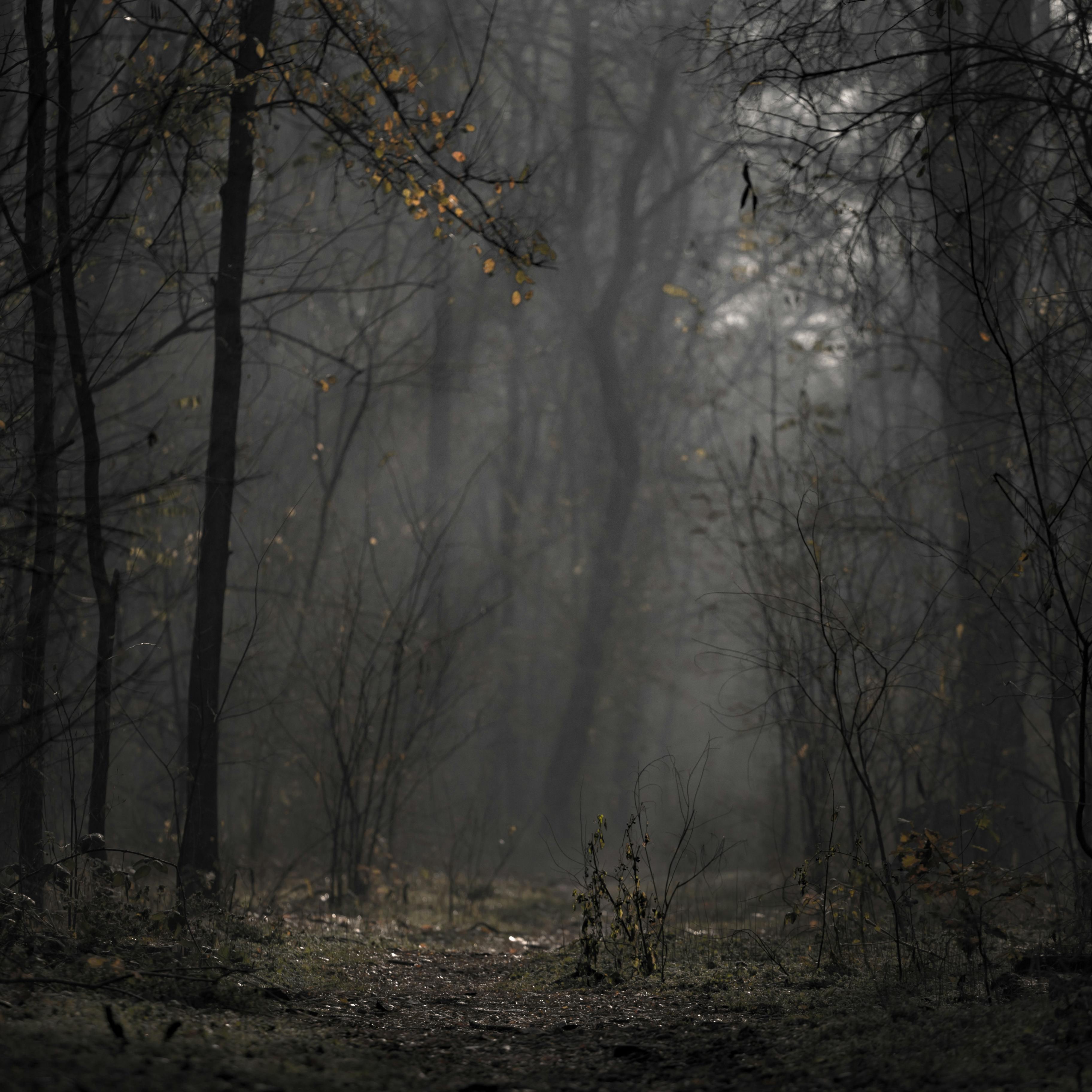 Test fill application 3 Title at Test fill application 3 brand name, Kerala - Other