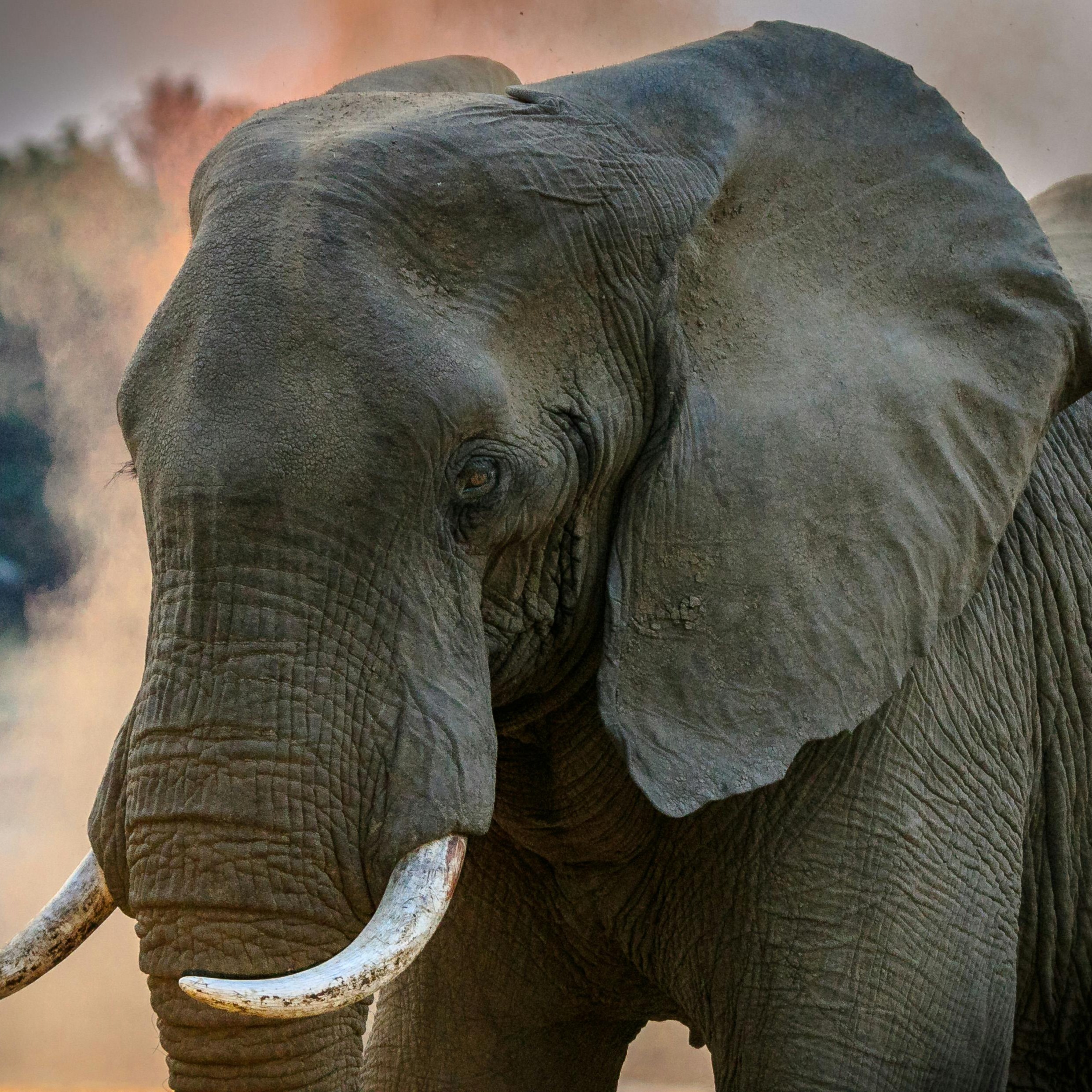 Appointement Generation at Appointement Generation, Ahmedabad